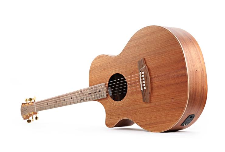 Cole Clark AN 2 EC Blackwood / Blackwood Left Handed #2506-15931 Cole Clark AN 2 EC Blackwood / Blackwood Left Handed #2506-15931