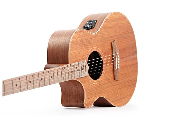 Cole Clark AN 2 EC Blackwood / Blackwood Left Handed #2506-15931 Cole Clark AN 2 EC Blackwood / Blackwood Left Handed #2506-15931