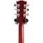 Gibson Les Paul Standard 60s Figured Top 60s Cherry #220930373