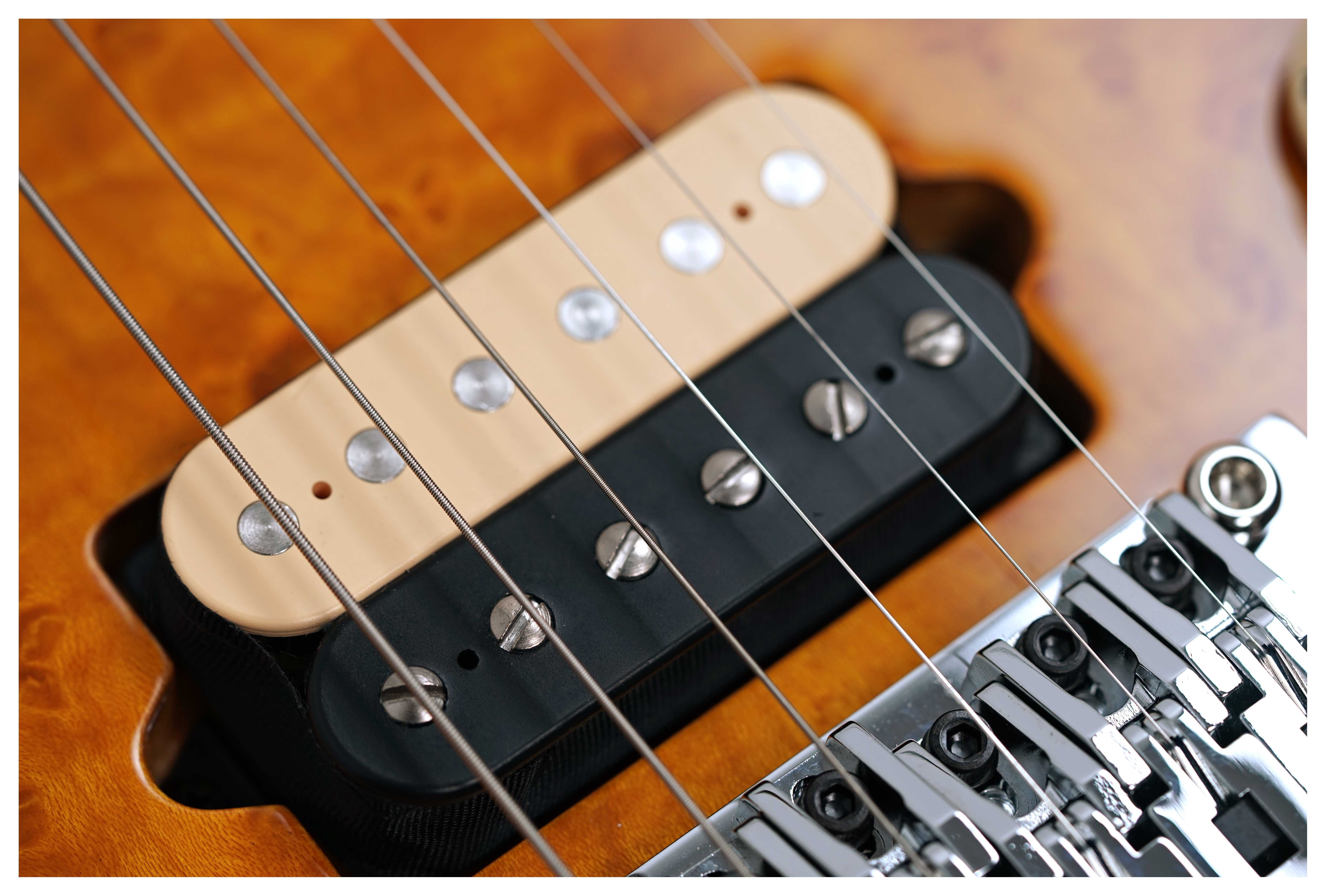 Music Man guitarguitar Exclusive Axis Birdseye Amber #H04348