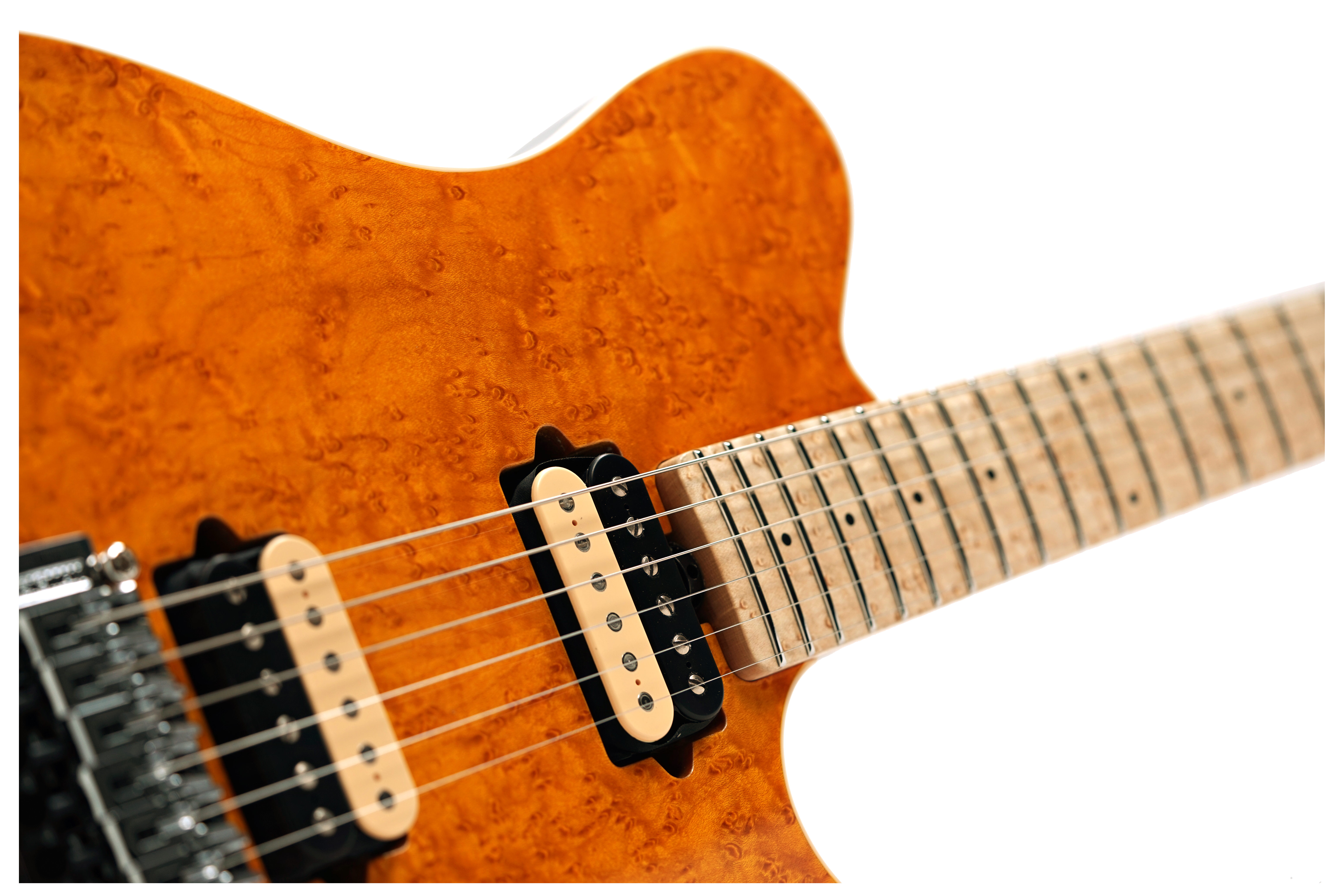 Music Man Axis Birdseye Amber guitarguitar Exclusive #H10936