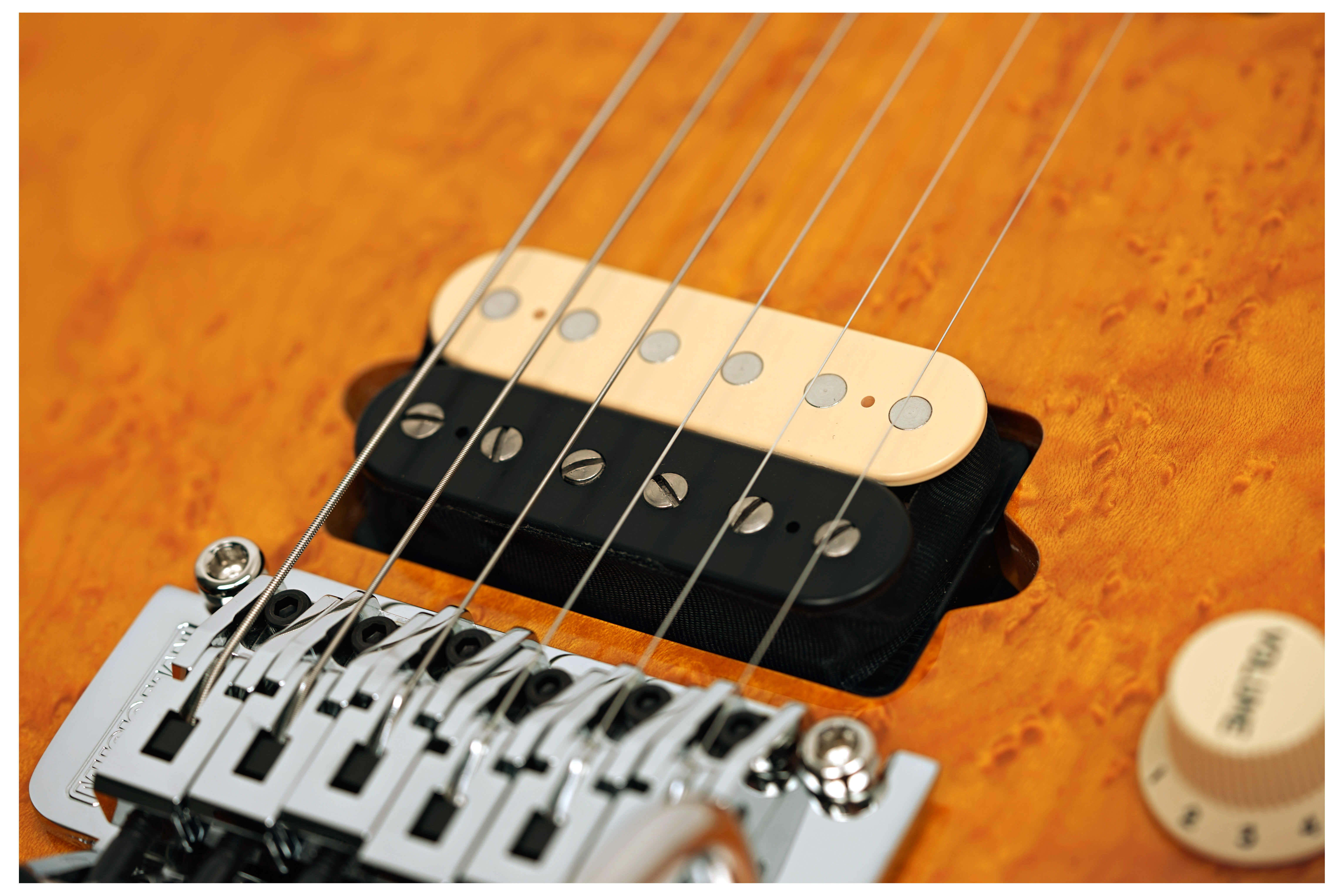 Music Man Axis Birdseye Amber guitarguitar Exclusive #H10936