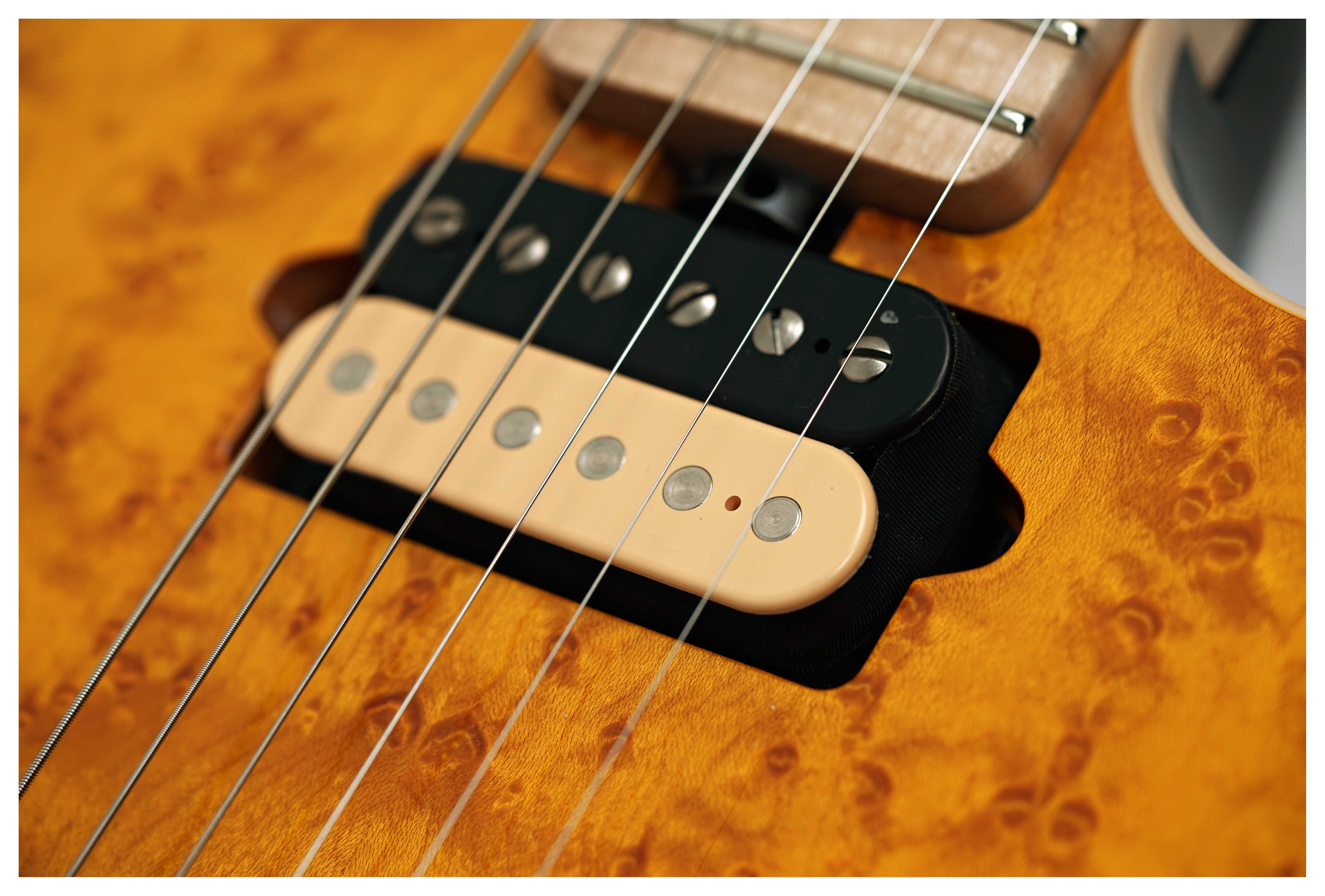 Music Man guitarguitar Exclusive Axis Birdseye Amber #H09701