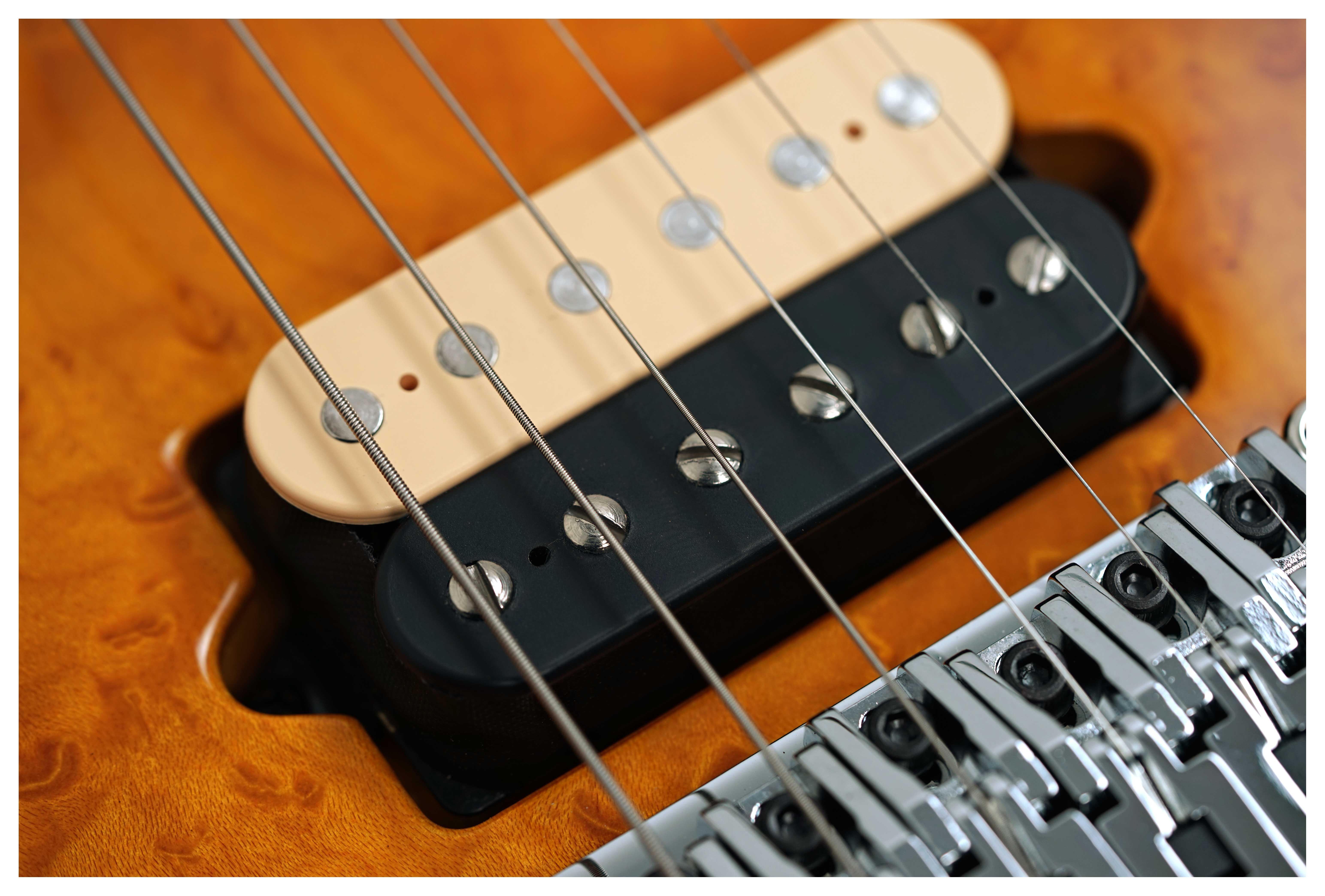 Music Man guitarguitar Exclusive Axis Birdseye Amber