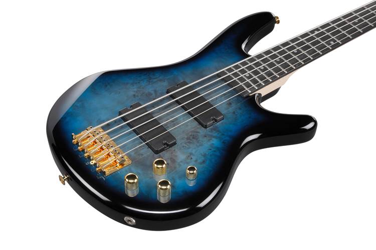 Ibanez GSR205PC-TMU 5 String Transparent Marine Burst Ibanez GSR205PC-TMU 5 String Transparent Marine Burst