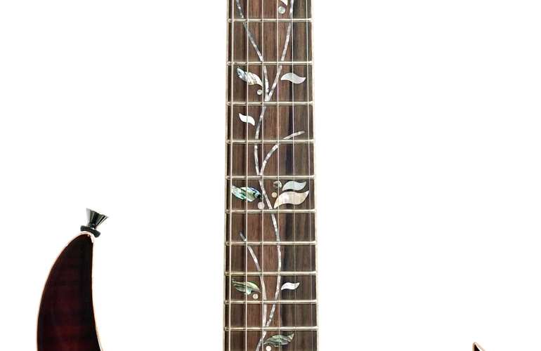 Ibanez J Custom RG8570 HS Brownish Sphalerite #F2427172 Ibanez J Custom RG8570 HS Brownish Sphalerite #F2427172