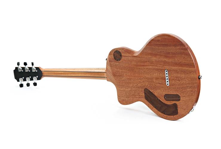 Lowden GL-10 Transparent Black Lowden GL-10 Transparent Black