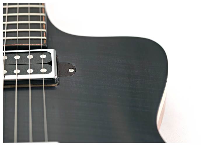 Lowden GL-10 Transparent Black Lowden GL-10 Transparent Black
