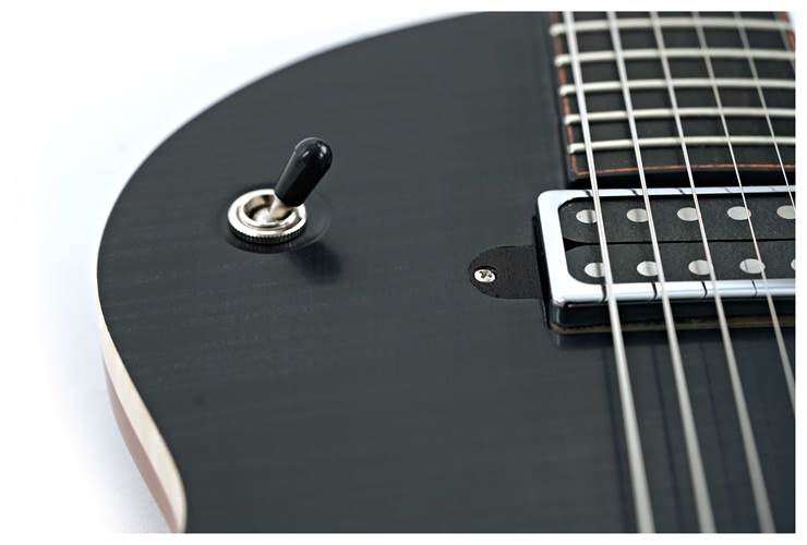 Lowden GL-10 Transparent Black Lowden GL-10 Transparent Black