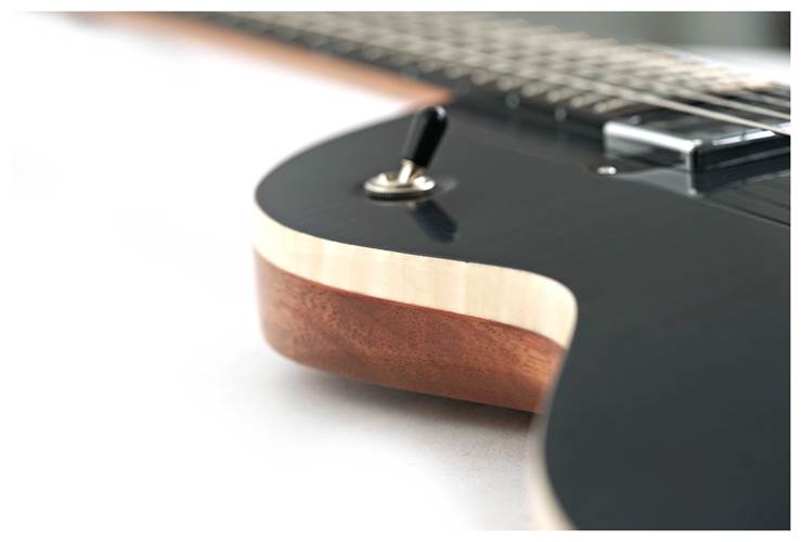 Lowden GL-10 Transparent Black Lowden GL-10 Transparent Black