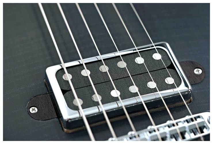 Lowden GL-10 Transparent Black Lowden GL-10 Transparent Black