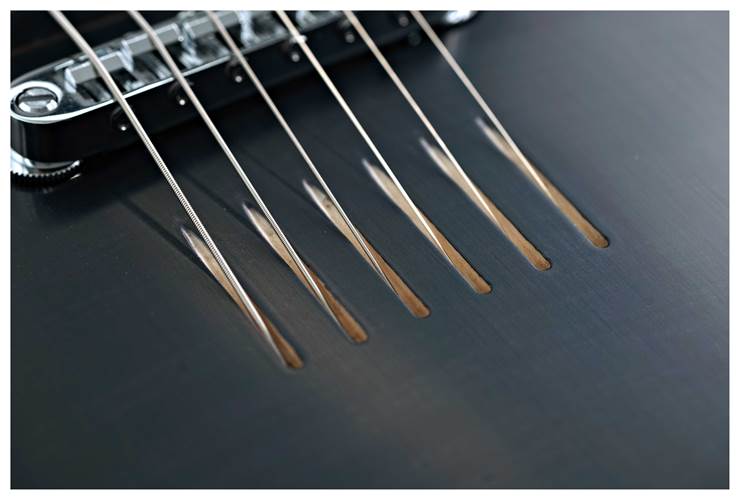 Lowden GL-10 Transparent Black Lowden GL-10 Transparent Black