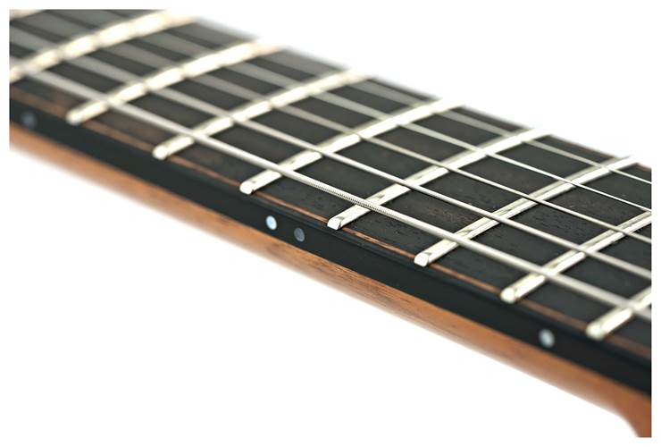 Lowden GL-10 Transparent Black Lowden GL-10 Transparent Black