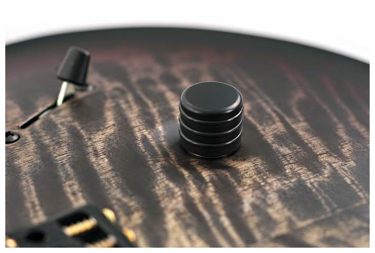 PRS Mark Holcomb Holcomb Wraparound Burst #0409441 PRS Mark Holcomb Holcomb Wraparound Burst #0409441