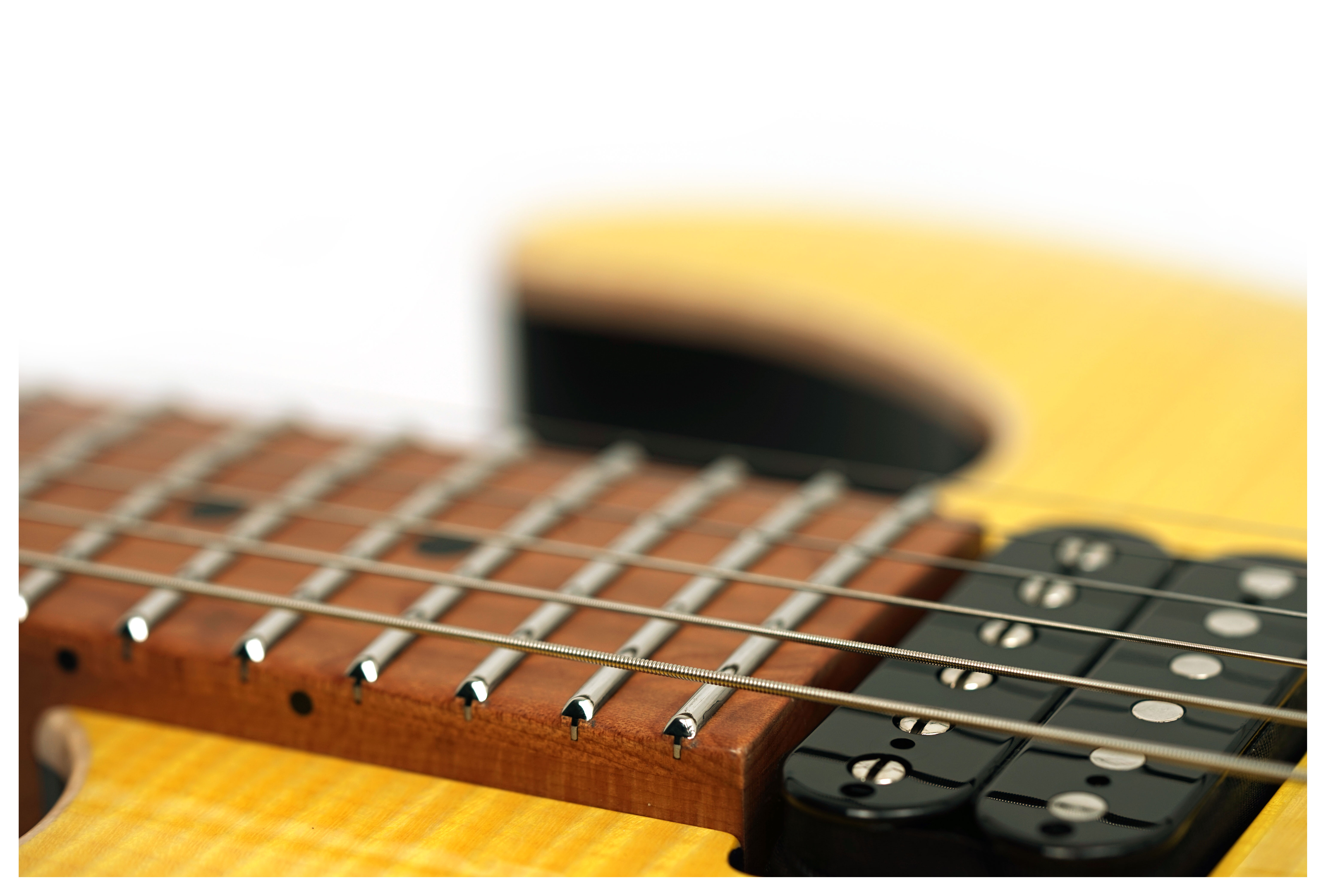 Suhr Modern Plus Trans Lemon Yellow Maple Fingerboard guitarguitar Select #92019