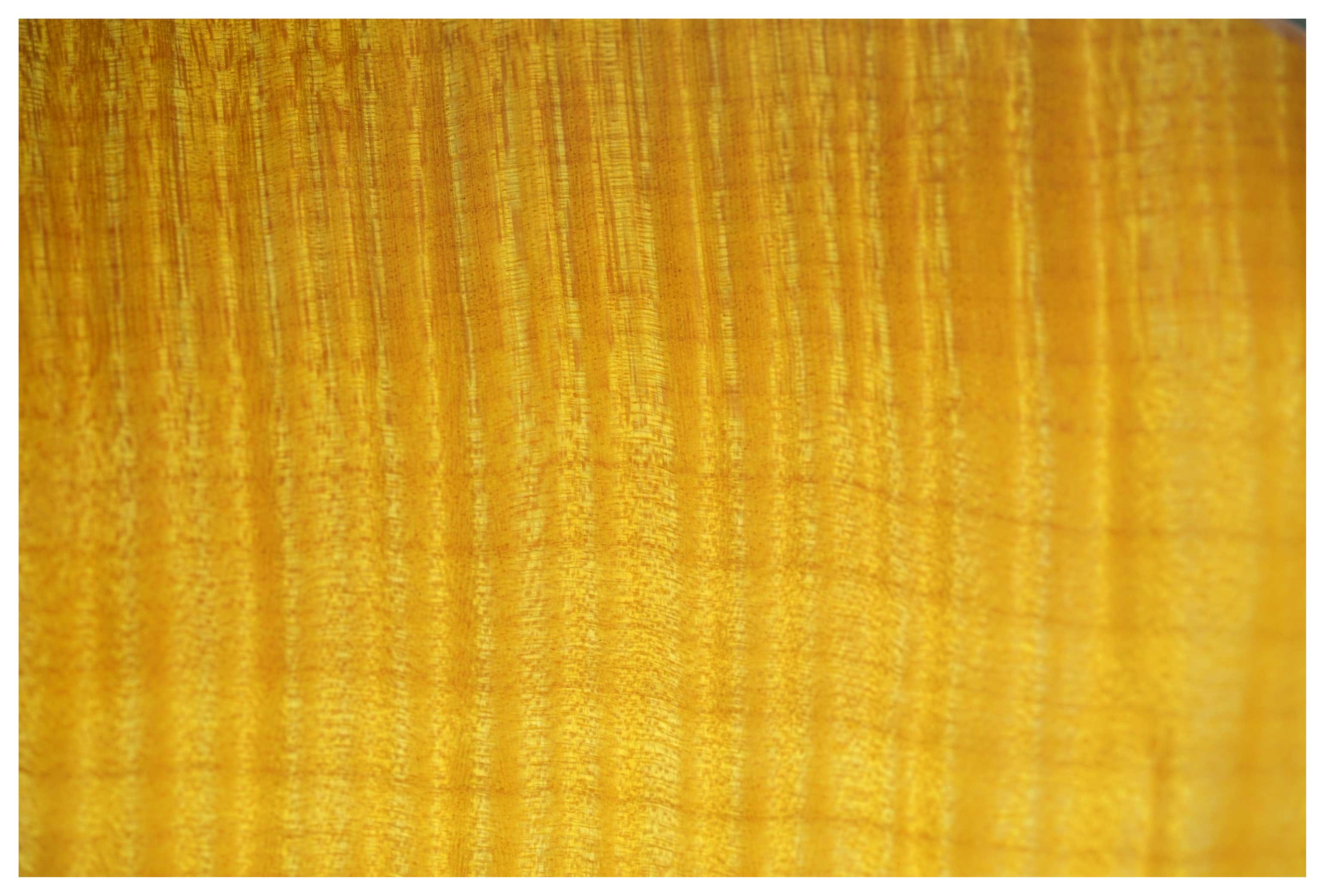 Suhr Modern Plus Trans Lemon Yellow Maple Fingerboard guitarguitar dealer select #92020