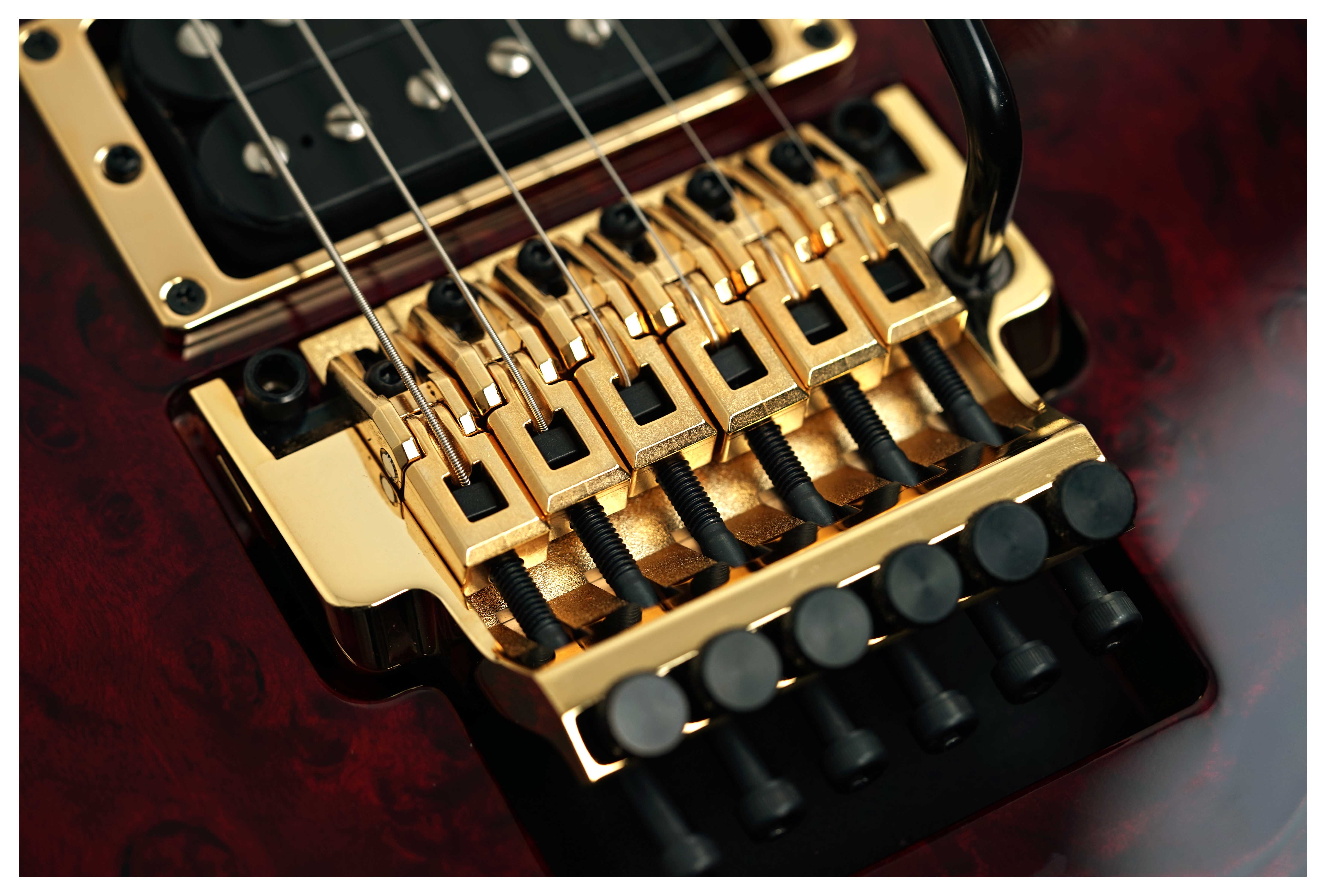Ibanez J Custom RG8565R Charmant Wine Red Limited Edition #F2521223