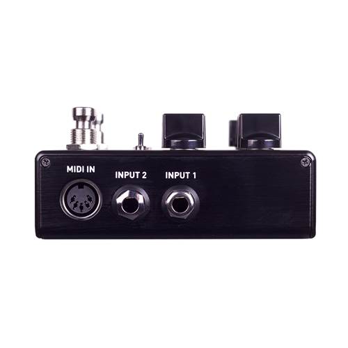 Source Audio Encounter Ambient Delay and Reverb Source Audio Encounter Ambient Delay and Reverb