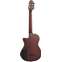 Tanglewood Enredo Madera Dominar EMDC8CG 4/4 Thinline Classical Back View