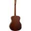 Tanglewood Elemental TE3BL Back View
