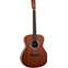 Tanglewood Elemental TE3BL Front View