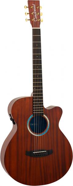 Tanglewood Elemental TE4CEBL