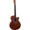 Tanglewood Elemental TE4CEBL Front View