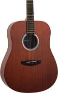 Tanglewood Elemental TE5BL
