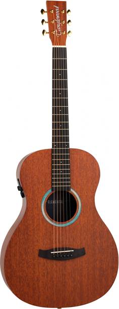Tanglewood Elemental TE8EBL