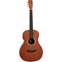 Tanglewood Elemental TE8EBL Front View
