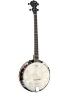 Tanglewood Union TUB4 Banjo