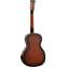 Tanglewood Union TUR8 Resonator Back View