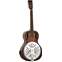 Tanglewood Union TUR8 Resonator Front View