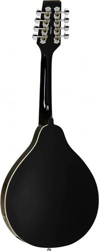 Tanglewood TWMTBKPE Mandolin F Hole Black Tanglewood TWMTBKPE Mandolin F Hole Black