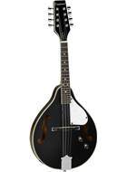 Tanglewood TWMTBKPE Mandolin F Hole Black