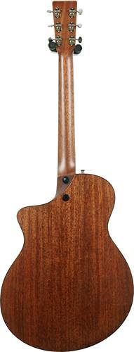 Martin Standard Series SC18E with LR Baggs Anthem Martin Standard Series SC18E with LR Baggs Anthem