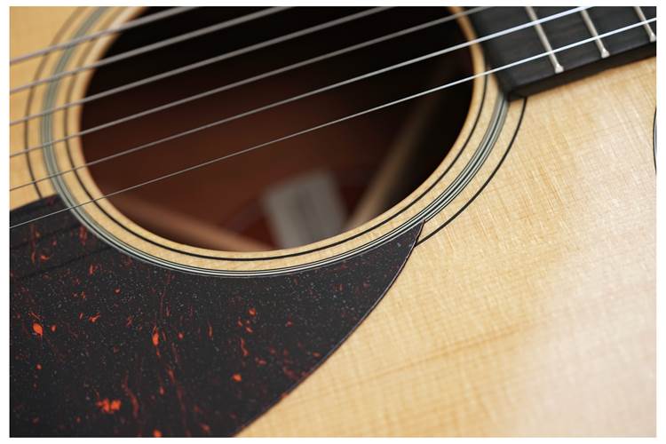 Martin Standard Series SC18E with Fishman Aura VT Martin Standard Series SC18E with Fishman Aura VT