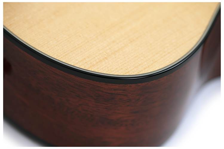 Martin Standard Series SC18E with Fishman Aura VT Martin Standard Series SC18E with Fishman Aura VT