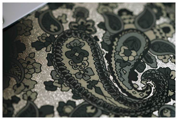 Fender Made in Japan Limited Stratocaster Black Paisley Maple Fingerboard Fender Made in Japan Limited Stratocaster Black Paisley Maple Fingerboard