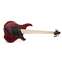 Dingwall NG3 5 String Pegasus Red Maple Fingerboard #19187 Front View