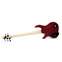 Dingwall NG3 5 String Pegasus Red Maple Fingerboard #19187 Front View