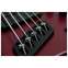 Dingwall NG3 5 String Pegasus Red Maple Fingerboard #19187 Front View