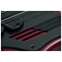 Dingwall NG3 5 String Pegasus Red Maple Fingerboard #19187 Front View