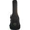 Dingwall NG3 5 String Pegasus Red Maple Fingerboard #19187 Front View