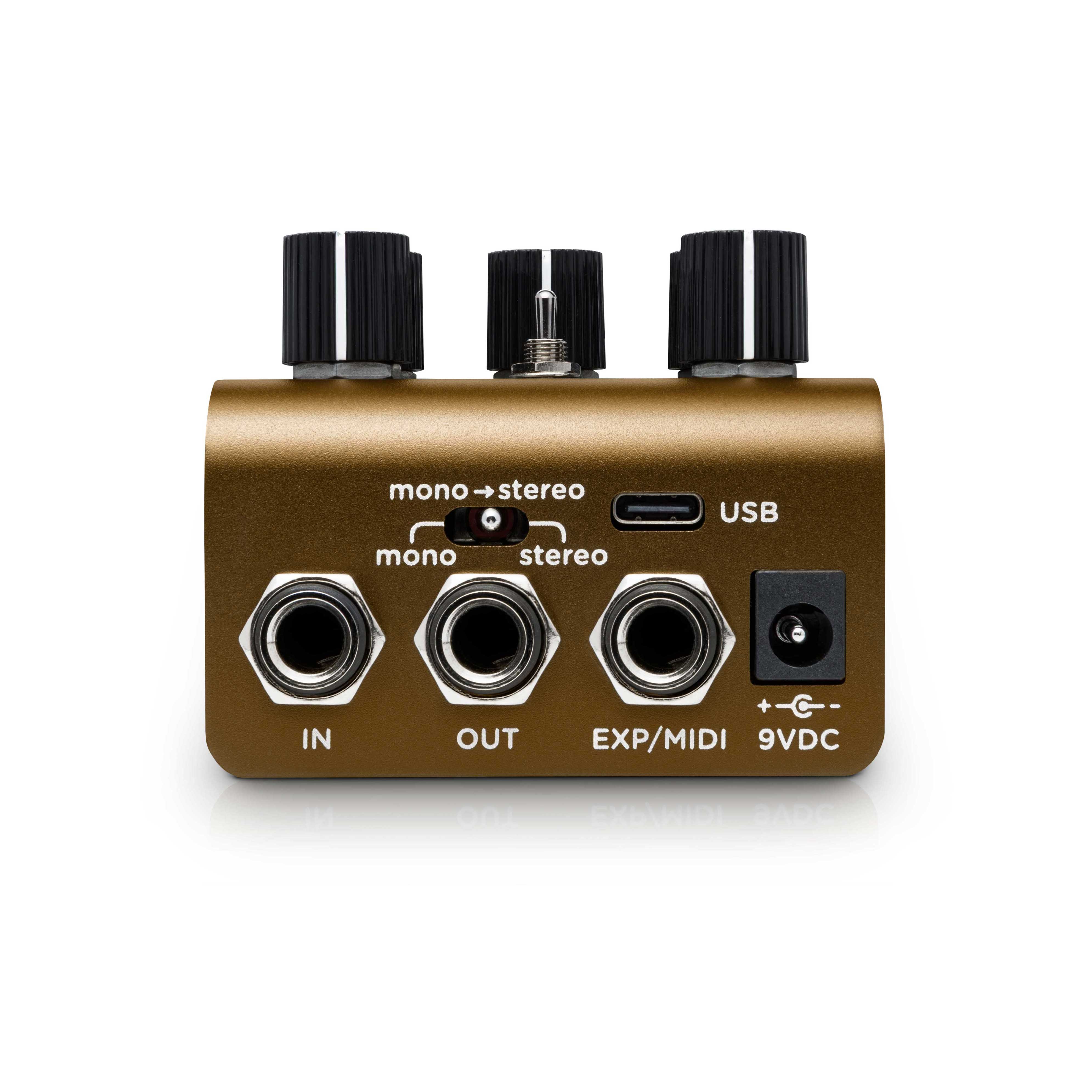 Strymon Olivera Vintage Oil Can Echo