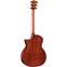 Taylor Limited Edition 324ce Baritone-6 Back View