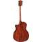 Taylor Limited Edition 324ce Baritone-8 Back View
