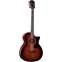 Taylor Limited Edition 324ce Baritone-8 Front View