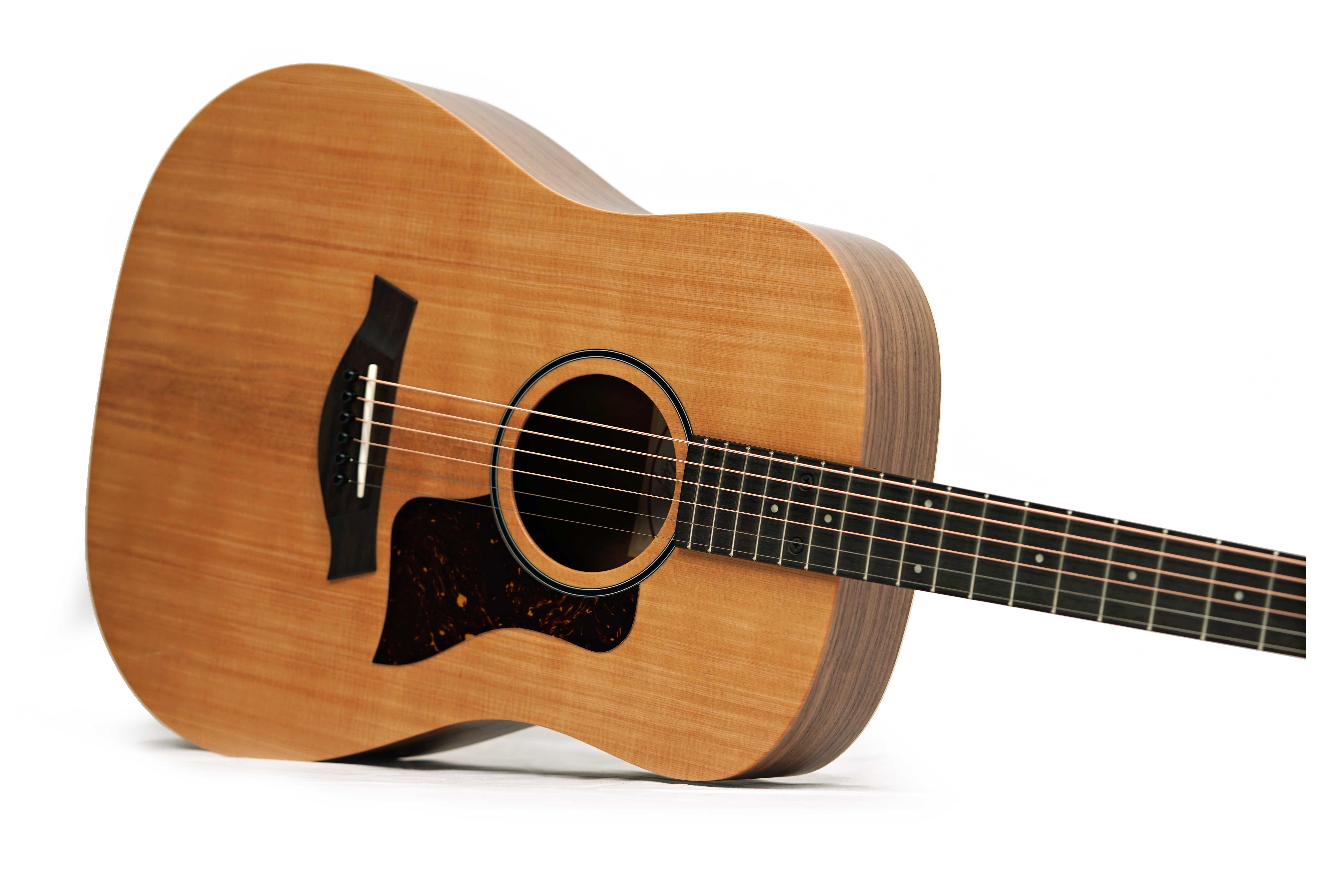 Taylor BBT Big Baby Taylor (Nearly New) #2208075049