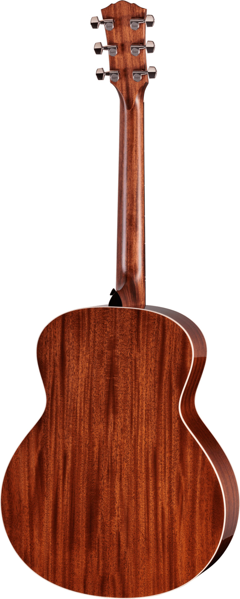 Taylor Gold Label 514e Super Auditorium